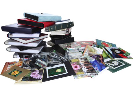 Pile of photo albums